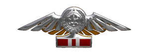 TIE Fighter Corps Flight Certification Wings - 10th Echelon