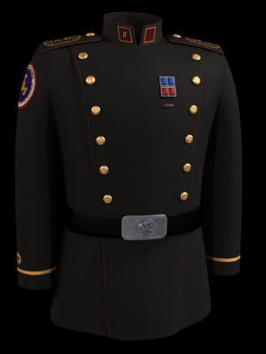 Uniform of LT Aalee
