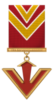 Medal of the V-wing