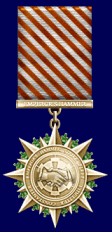 Medal of Allegiance