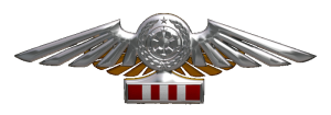 TIE Corps Imperial Pilot Flight Wings - 
                11th Echelon