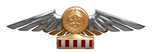 TIE Corps Imperial Pilot Flight Wings - 
                12th Echelon
