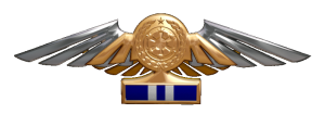 TIE Corps Imperial Pilot Flight Wings - 
                14th Echelon