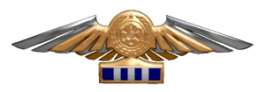 TIE Corps Imperial Pilot Flight Wings - 
                15th Echelon