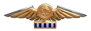TIE Corps Imperial Pilot Flight Wings - 
                16th Echelon
