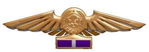 TIE Corps Imperial Pilot Flight Wings - 
                17th Echelon