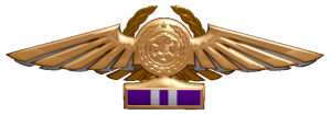 TIE Corps Imperial Pilot Flight Wings - 
                18th Echelon