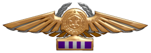 TIE Corps Imperial Pilot Flight Wings - 
                19th Echelon