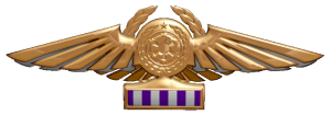 TIE Corps Imperial Pilot Flight Wings - 
                20th Echelon