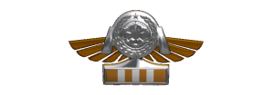 TIE Corps Imperial Pilot Flight Wings - 
                7th Echelon