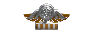 TIE Corps Imperial Pilot Flight Wings - 
                8th Echelon