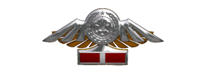 TIE Corps Imperial Pilot Flight Wings - 
                9th Echelon
