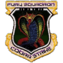 Patch of Fury Squadron
