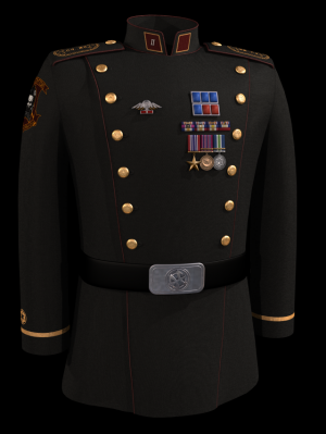 Uniform of CM Michael LeRoy